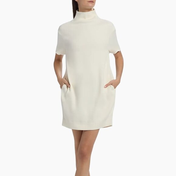 Loulou de Saison Dresses & Skirts - Loulou de Saison Elton Relaxed Mock Turtleneck Minidress